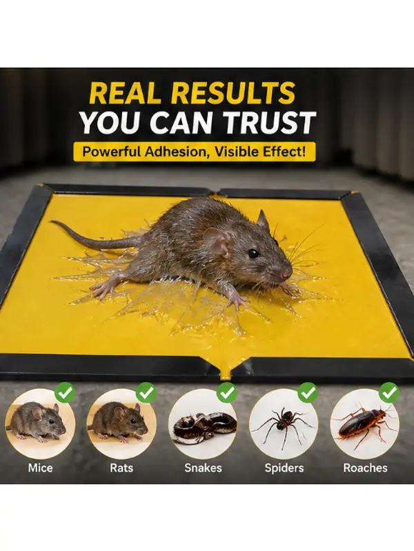 Sulguy 5-Pack Extra-Strong Large Glue Traps for Rats/Mice – Suitable for Indoor & Outdoor Use, Easy to Set Up, Extra-Large Size (8.3" x 12")