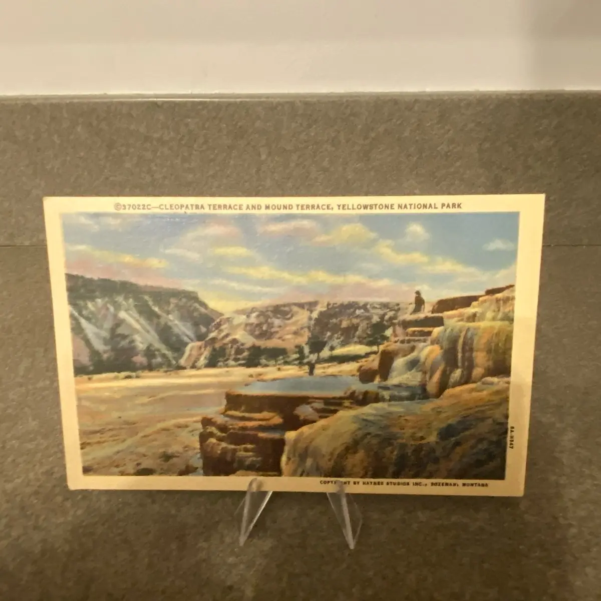 Vintage Post Card Yellowstone National Park - Hard Find
