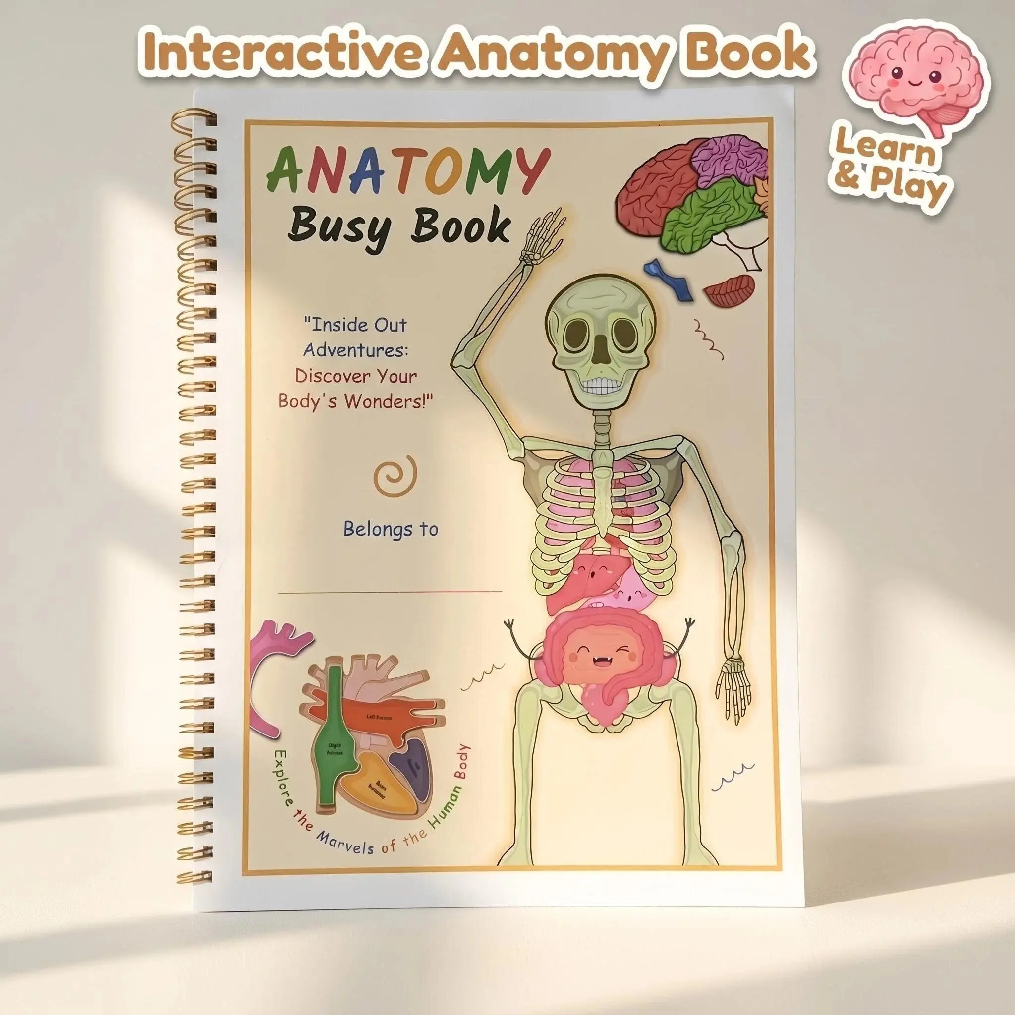 Human Anatomy Activity Book, Human Learning Activity Manual, Organ System Charts and Hands-On Practice, Educational Workbook for Students