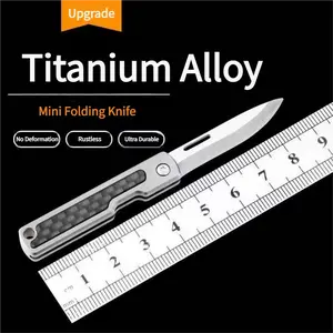 Gentleman-Style EDC Pocket Knife, Flipper Tab, Frame Lock, Pocket Clip, Stainless Steel, Key Fob Multi-Function Knife, High Quality, Parcel Opener And Protective Knife, Gray
