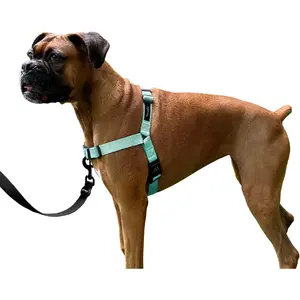 Dream Walk No-Pull Dog Harness- Adjustable, Comfortable, Easy to Use Pet Halter to Help Stop Pulling for Small, Medium and Large Dogs (Seafoam, L)