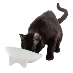 Whiskerware Ceramic Tilted Bowl