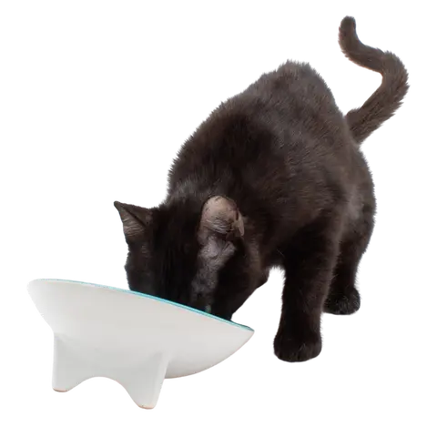 Whiskerware Ceramic Tilted Bowl