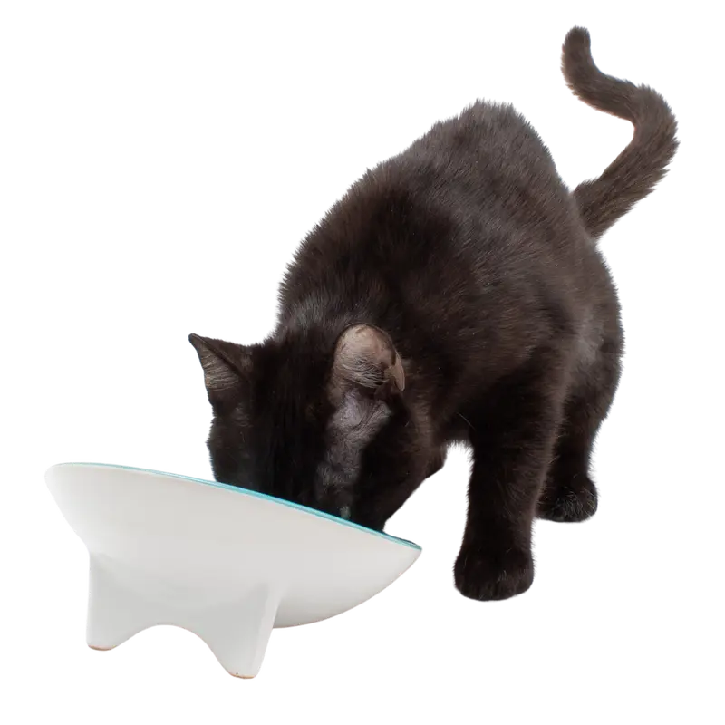 Whiskerware Ceramic Tilted Bowl