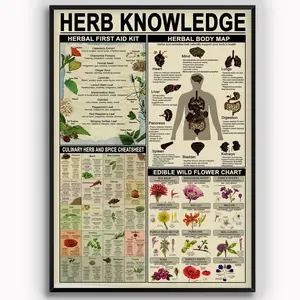 Herb Knowledge Aluminum Metal Tin Signs Plaque Herbal First Aid Kit Infographic Poster Pharmacist Study Guide Chart For Home Pharmacy Office Wall Decor 8x12Inches
