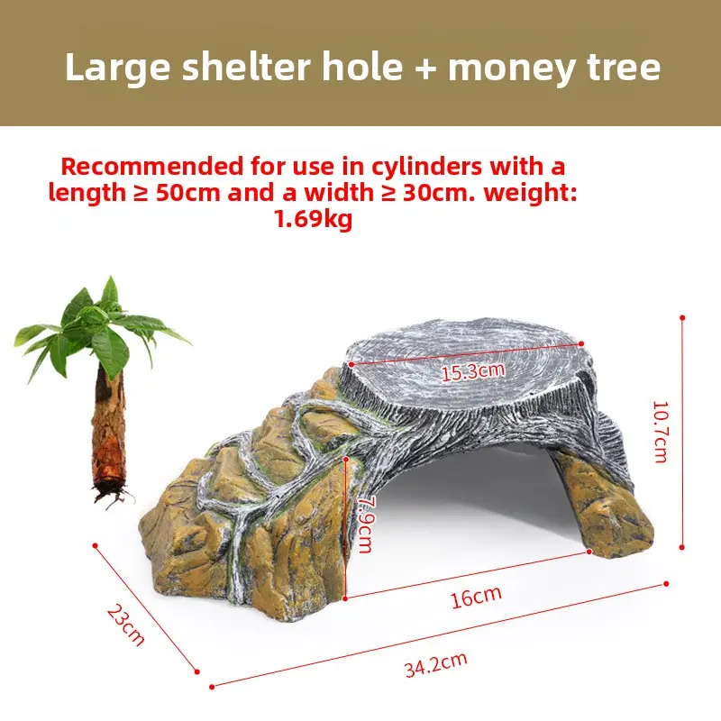 [Sunbathing Platform] Large Size + Money Tree