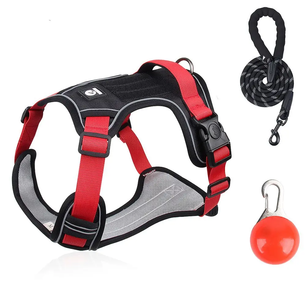 Black Harness+2.0m reflective round rope+LED light