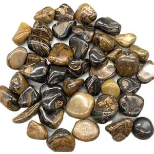 Stromatolite Tumbled Bulk Stones 1 lb Fossil