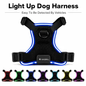 Light Up Dog Harness, Rechargeable LED Dog Vest, Breathable Mesh , Adjustable,Waterproof,Easy On & Off - Great for Walking & Training, Suitable for Small, Medium & Large Dogs, Pet Supplies