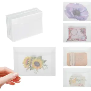60 Pack 3x4 inches Vellum Envelopes Glassine Envelopes Translucent Envelope Self Sealing Mini Envelope for Seeds Stamps Coins Gifts