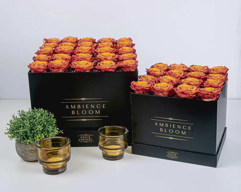 Exclusive Roses - Royal Orange