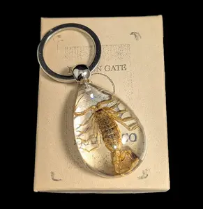 Brown Scorpion Clear Teardrop Keychain