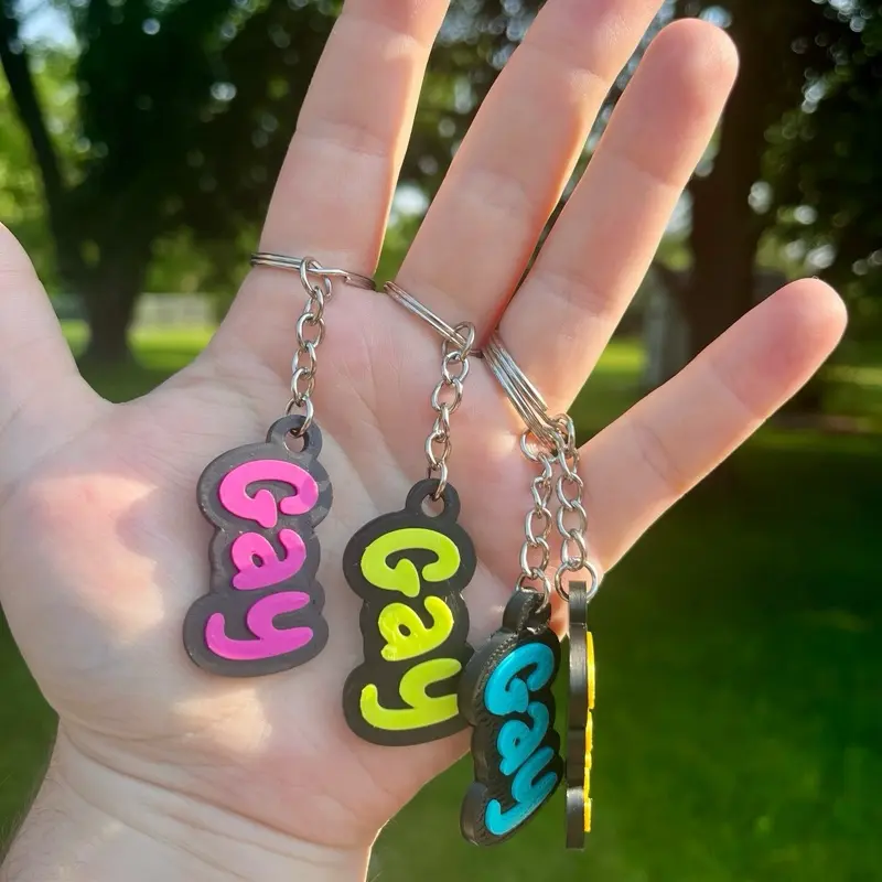 Gay Pride 3dPrint Keychain - Pansexual Design with Colorful Options and Chain Attachment