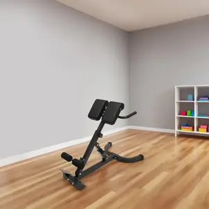 Roman Chair Hyperextension Bench 5 Position Tilt 330 lbs Capacity Back Ab Workout for Home Gym Strength Training