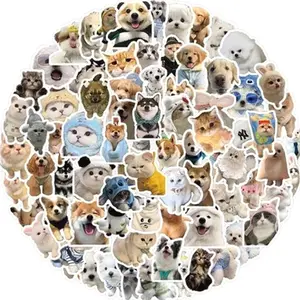 Random Funny Stickers for Adults Waterproof Vinyl Sarcastic Meme Decals for Laptop Water Bottle Hard Hats  Kindle Journal Scrapbook Bumper Skateboard Luggage No Repeats