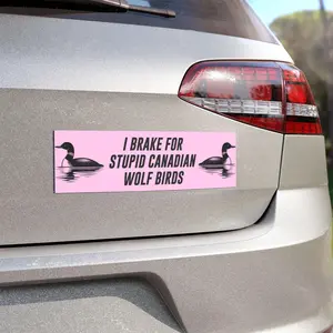 Funny Heated Rivalry Bumper Sticker, I Brake for Stupid Canadian  Wolf Birds Meme, Funny Car Decal Meme, Car Magnet Accessories