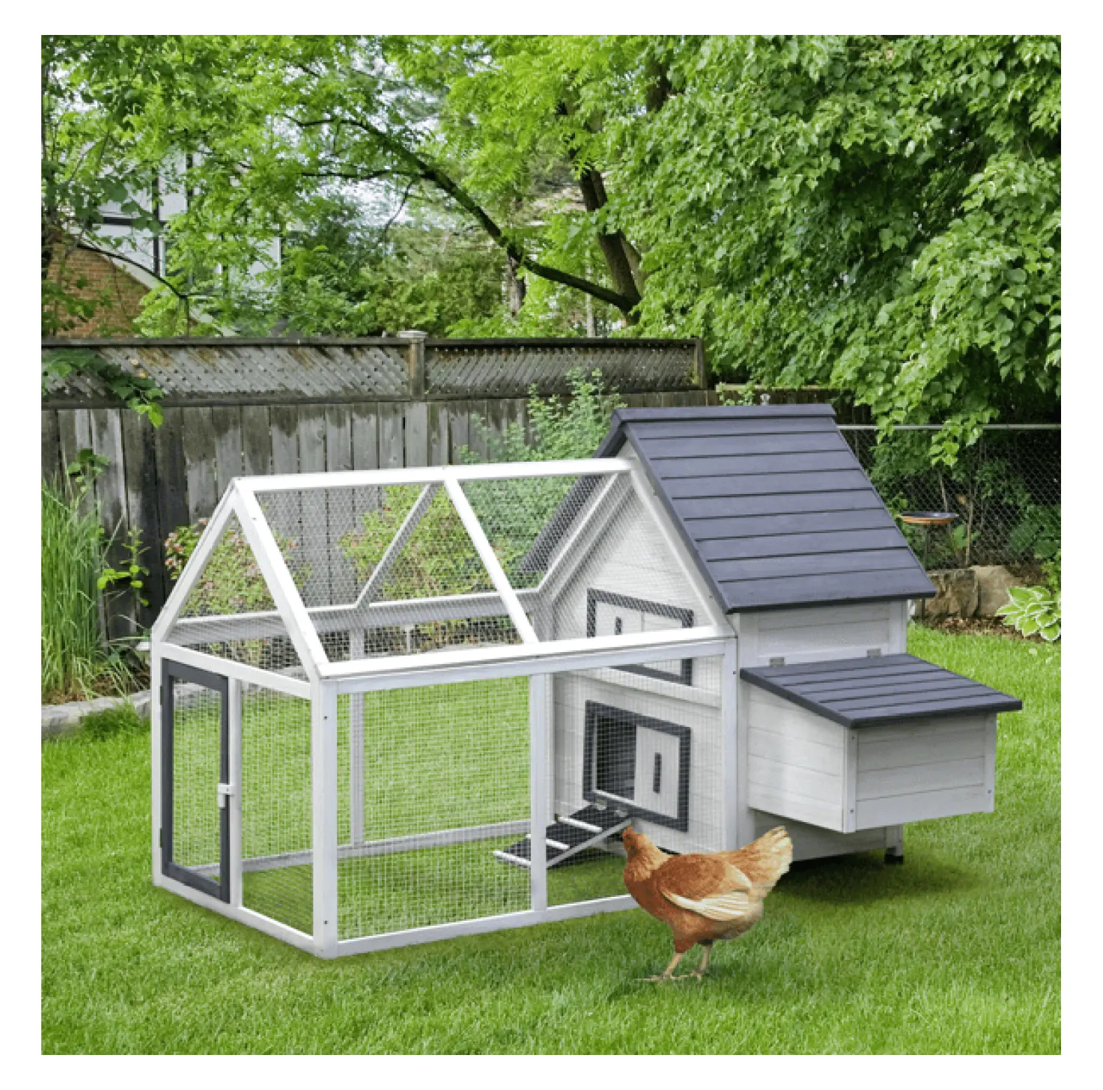 Fir Wood Chicken Coop - Outdoor Elevated Living House with Anti-UV Roof, Convenient Nesting Box, Run & Ramp, Easy Assembly, Grey & White