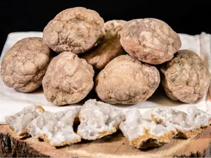 Break Your Own Geodes, 10 Piece Gift Set 1.5″-3″ Unopened Moroccan Crystal Quartz Geode