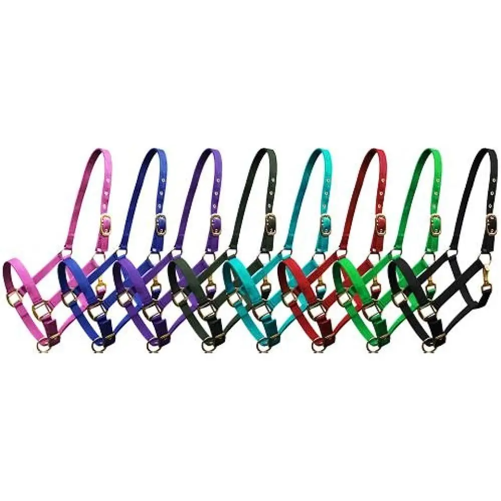 Triple Ply Nylon Cob Halter Triple Ply Nylon Cob Halter
