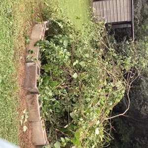 VEVOR Multi-Functional Trimming Tools, Various specifications, Gas Hedge Trimmer, Weed Eater, String Trimmer, Edger, Pole Saw Chainsaw Pruner with Extension Pole Lawn Mower Garden