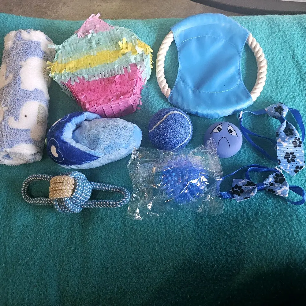 10 item bundle