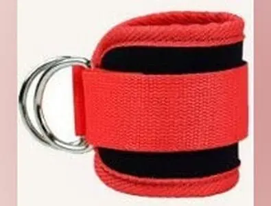 Red Silver Buckle Net