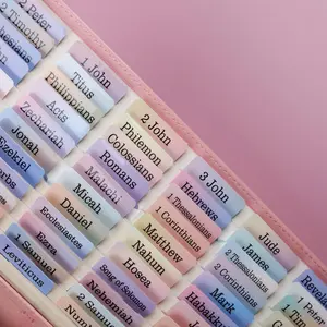 Laminated Bible Tabs for Women and Men, Repositionable Large Print Stickers, Easy to Read and Apply, 80 Chapters Labels for Easy Navigation (Nebulae Rainbow)
