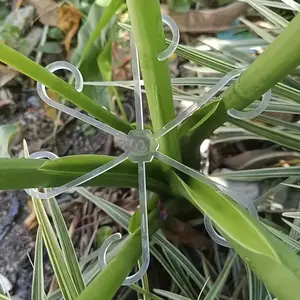 4 Plant Support Cages with Plastic Climbing Pole Hooks, Reusable Indoor Outdoor Plant Trellis, Garden Obelisk Trellis, Flower Support Net Growth Accessories