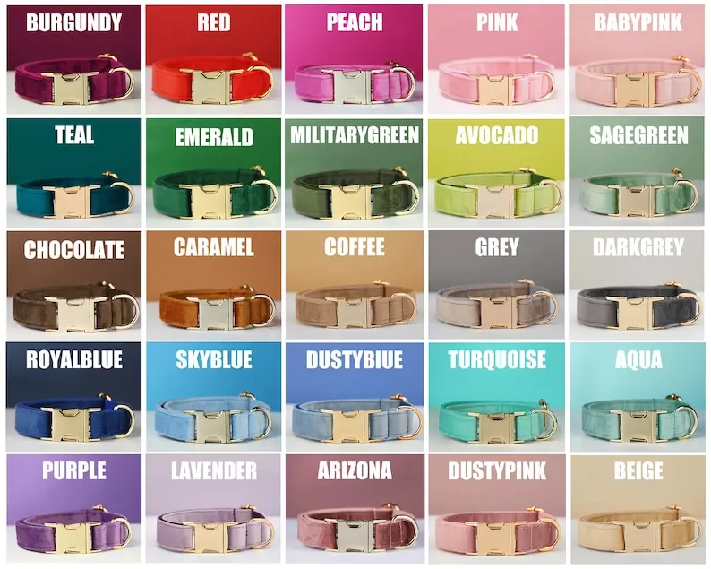 Personalized Velvet Dog Collar and Leash Set, Multi-Color Design, with Decorative Bow