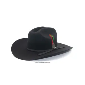 Tombstone 10x Chaparral Sinaloa Black Wool Hat