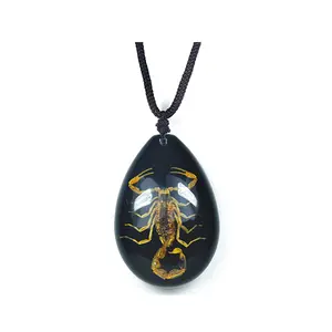 Black Pendant Necklace with Real Brown Scorpion