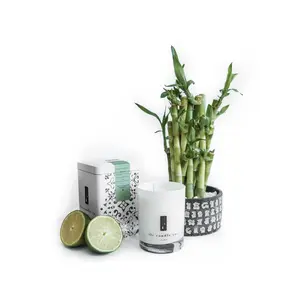 Meditation - Bamboo, Amber and Aloe Soy Candle