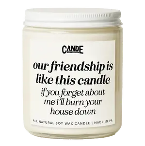 Our Friendship is Like A Candle If You Forget About Me I'll Burn Your House Down Candle