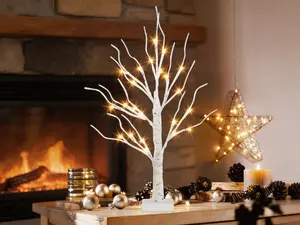 2FT pre-lit birch artificial tree with warm white LED fairy lights. Battery-powered with timer function, ideal for indoor tabletop decor, holiday centerpieces and festive home styling.