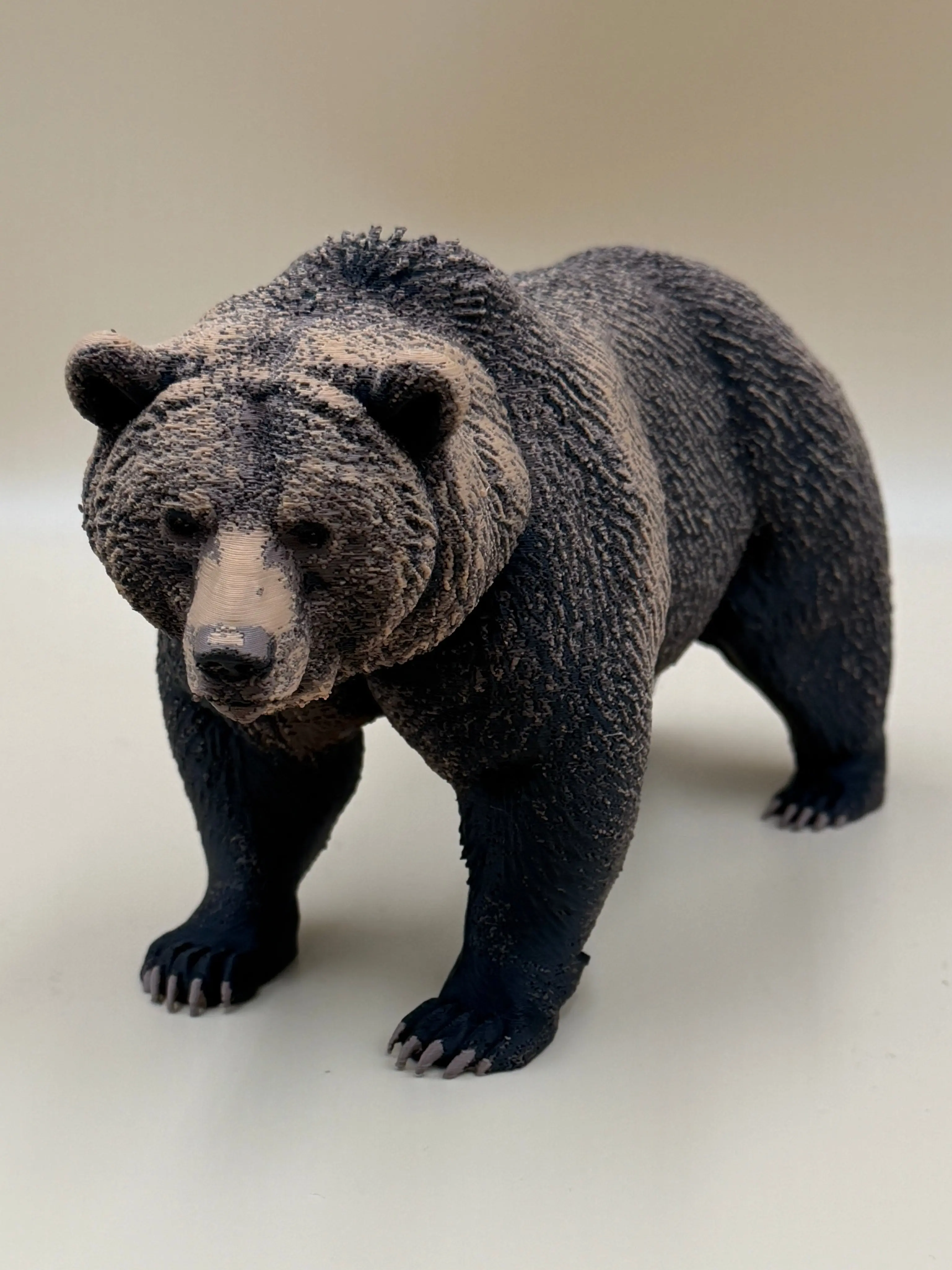 The Wild Grizzly Bear