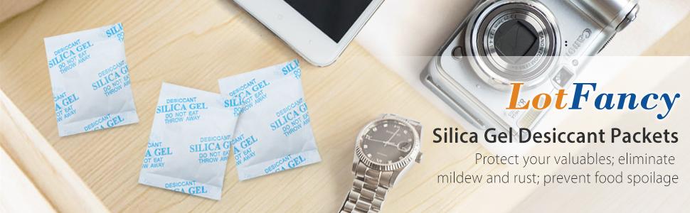 LotFancy 10 Gram Pack of 32 Silica Gel Packets Desiccant Dehumidifiers Moisture Absorber for Home & Household Items Mold Mildew Remover