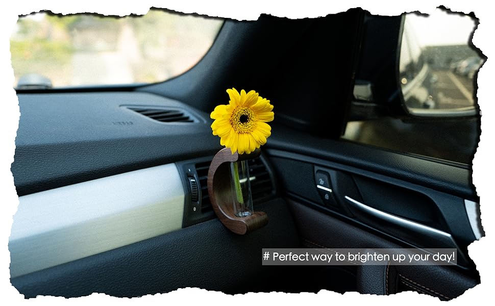 DIBMS Car Dashboard Decorations - Propagation Vase Vent Clip for Fresh/Dried Flowers, Plant Cuttings, Car Interior Aesthetics Decor Accessories - Gift for Plant Lovers, Women & Moms