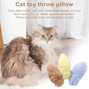 Cat Teaser Toy for Playtime Relief Mental Stimulation with Catnip Tease Stick.