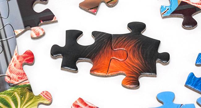 BenBen Puzzles for Adults 500 Pieces Dogs' Dinner Party Jigsaw Puzzle with Patterns on Back Funny Animal Puzzle Challenging for Family Game Night Home Décor Premium Thick Cardboard High-definition Printing 19.5 x 13.75 inches BenBen Puzzles for Adults 500 Pieces Dogs' Dinner Party Jigsaw Puzzle with Patterns on Back Funny Animal Puzzle Challenging for Family Game Night Home Décor Premium Thick Cardboard High-definition Printing 19.5 x 13.75 inches