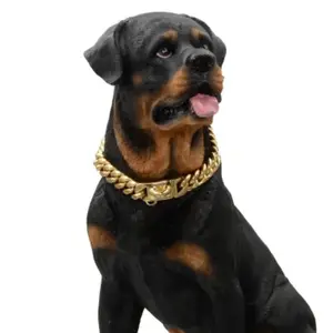 14mm Gold Dog Collar Stainless Steel Cuban Chain Link