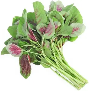 500 Amaranth Seeds for Planting.Chinese Spinach Seeds for Planting(). Non GMO Seed for Sprouting,Microgreen,Home Vegetable Garden-Red Leaf Amaranth Veggie Seed-Tricolor