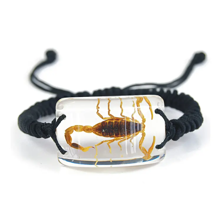 Clear Rectangle Shaped Pendant Bracelet with Real Brown Scorpion