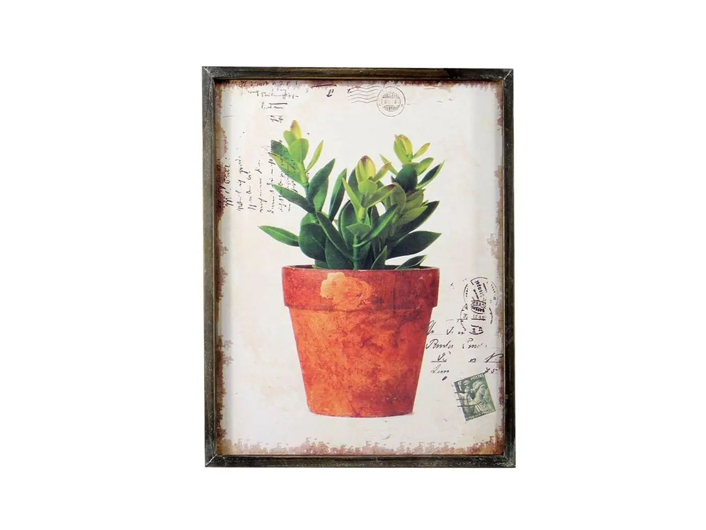 Jeco HD-WA073 Potted Green Picture Frame