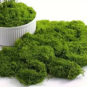 Artificial Moss, 100g Fake Moss, Faux Moss, Decorative Moss for DIY Micro Landscape Arrangement Ornament, Home Decor, Garden Decor, Fruit