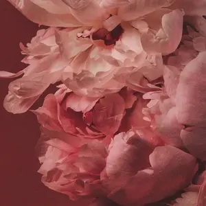 background preload poster image 