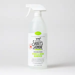 Stain & Odor Remover