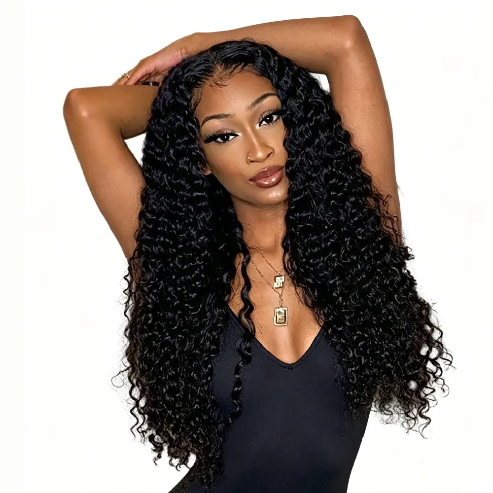 200% Density Kinky Curly Wigs for Black Women  4x4 Glueless HD Wigs Human Hair HD Transparent Glueless Wigs Pre Plucked with Baby Hair