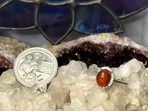 Blood Amber Sterling Silver Adjustable Rings