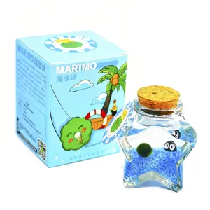 Marimo Moss Ball Terrarium Closed Ecosystem Wishing Bottle Low-Maintenance Starry Micro-Landscape for Desk Decor Soothing Plant Habitat for Visual Calm