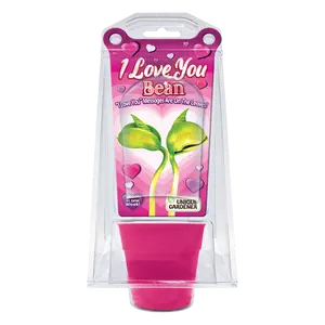 "I Love You" Bean Terrarium, Tabletop Flower Pot for Home Improvement & Garden Supplies, Tabletop Flower Pots